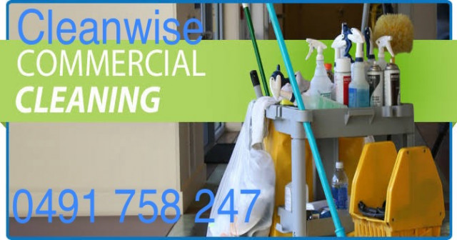 Cleanwise Commercial Cleaning Campbelltown